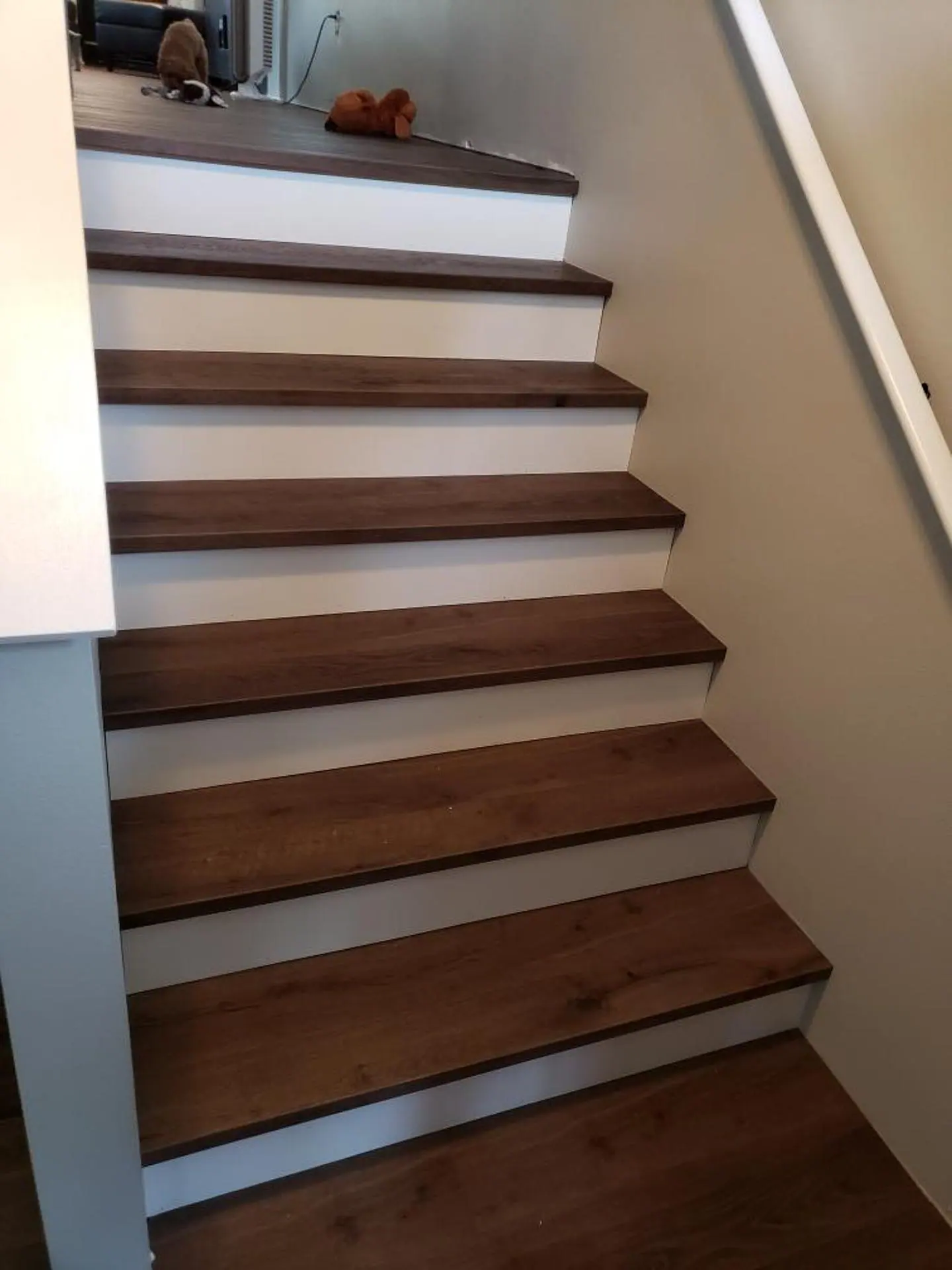 Return risers matched to the customer's flooring on a finished staircase in Renton, Washington.